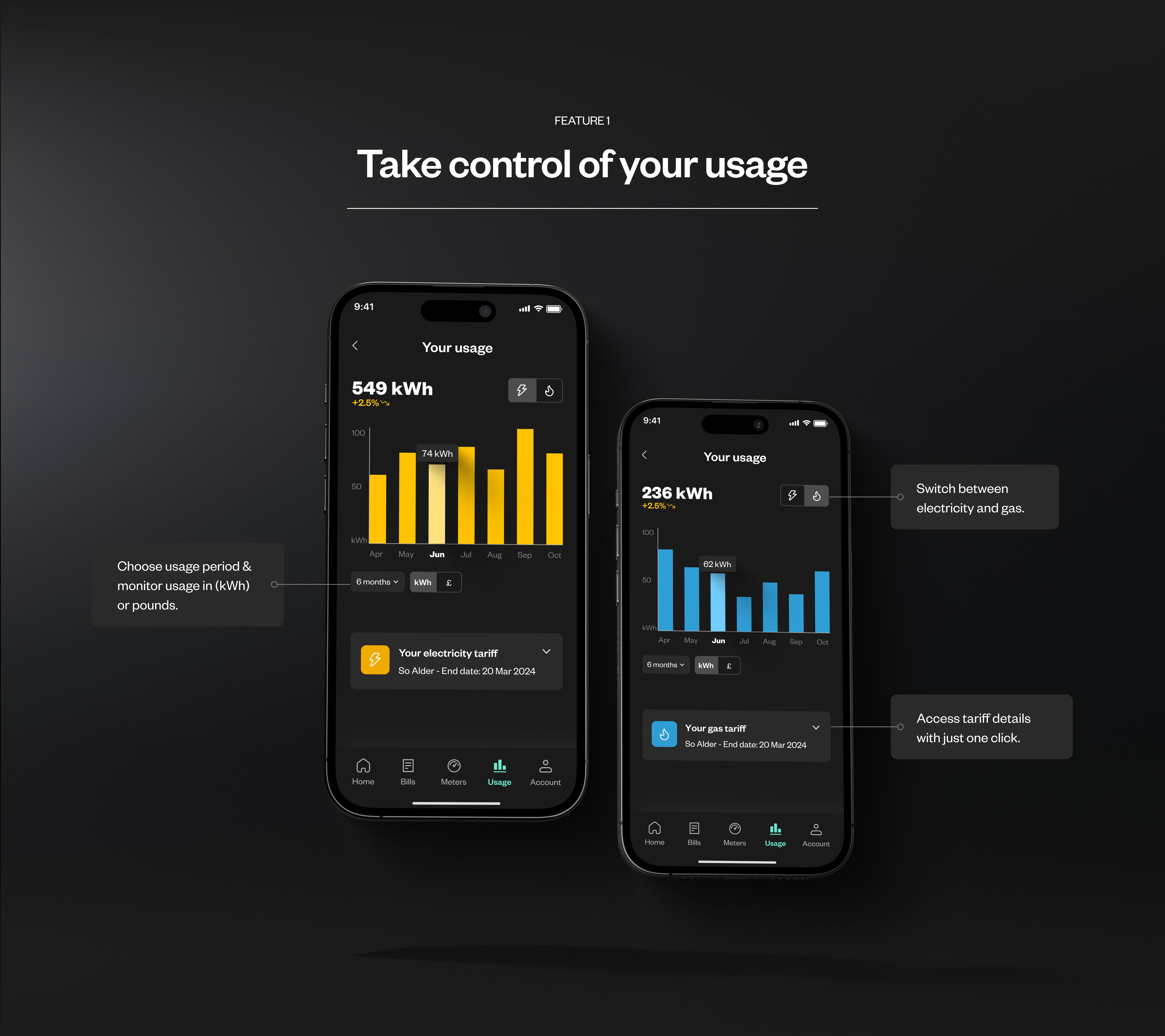 Take control of your usage — feature breakdown showing usage screens for electricity and gas
